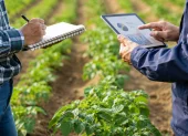 El programa de incentivos financieros del Gobierno destinará $155 millones para ampliar el acceso a créditos de jóvenes emprendedores y pequeños productores agrícolas a través de cooperativas del país.