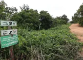 Ambientalistas y ciudadanos han rechazado que se autorice actividades extractivas en cerro Azul.