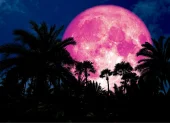 La Luna de Fresa y el solsticio de junio marcarán dos de los principales eventos astronómicos del mes, visibles desde Ecuador si las condiciones climáticas lo permiten.
