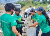 Plantas nativas fueron sembradas en alianzas público-privadas