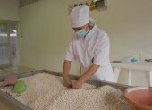 Estudios internacionales confirman que el chocho combina alto valor nutricional, potencial agroindustrial y beneficios ambientales que lo convierten en un cultivo clave para el futuro.