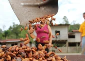 El plan africano podría abrir nuevas oportunidades para Ecuador.