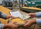 Una foto referencial sobre la comercialización del maíz en Ecuador.