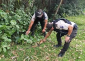 En el sector de Argelia, sur de Quito, policías del Distrito Eloy Alfaro localizaron una arma de fuego, que fue levantada con cadena de custodia y trasladada a la Policía Judicial.