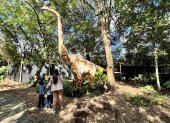 Dinosaurios gigantes con efectos de sonido y movimiento son la gran atracción del Jardín Jurásico en Quito.