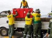Rescatistas de República Dominicana llegan a Venezuela para sumarse a las labores de búsqueda de sobrevivientes tras los devastadores terremotos.