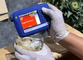 Una persona inspeccionando mercancía durante un operativo en el que decomisaron 30 kilos de presunta cocaína ocultos en piñas en Santo Domingo (República Dominicana).