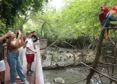 El Parque Histórico queda en Samborondón. Ofrece una mirada a especies endémicas que han sido rescatadas.