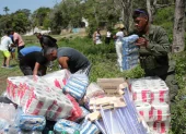 Personas descargan ayudas humanitarias este lunes en La Guaira, Venezuela, tras los sismos.