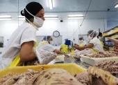 La industria atunera alerta por pérdida de competitividad.