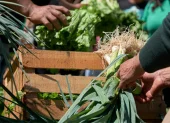 Dedicó su vida a la investigación, la docencia y el impulso de la agricultura orgánica en Ecuador
