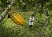 Los recursos permitieron financiar a pequeños comercios, artesanos, agricultores, microempresarios, iniciativas de bioeconomía, transporte, vivienda y otros sectores productivos.