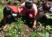 La programación se dividirá en dos ejes temáticos. El primero, denominado "Agua y Vida", abordará la importancia del agua, la biodiversidad y la gestión comunitaria.