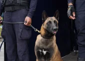 El can Luna halló sustancias sujetas a fiscalización listas para consumo durante un operativo preventivo en el parque La Carolina