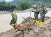 Uniformados de las Fuerzas Armadas continúan con la búsqueda de personas extraviadas una semana después del deslave en Zamora Chinchipe.