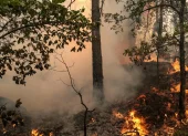 Una zona de bosque quemado mientras los bomberos trabajan para extinguir un incendio en el bosque de Fontainebleau en Noisy-sur-Ecole, Francia, 13 de julio de 2026.