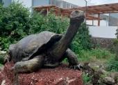 La Universidad Central del Ecuador en Galápagos fue evaluada por la Comisión de Educación junto a autoridades universitarias y del CES.