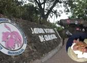 El estudio identificó refugios naturales utilizados por distintas especies de murciélagos dentro de las instalaciones del Jardín Botánico.