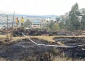 Una de las emergencia ocurrió en la Jaime Roldós, en el norte. Allí ocurrió un incendio forestal.