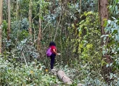 Maytté Gavilanes camina en la zona talada, el martes 14 de julio del 2026, en El Bosque.