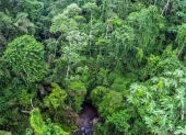 Entre especies nuevas para la ciencia y viejos árboles que han vivido más de 200 años, uno se siente pequeño ante la inmensidad del Chocó Andino.