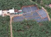 Afectación. Vista aérea de la finca La Carolina, donde a finales de 2025 se confirmó el primer caso.