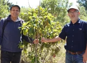 Ramiro Morejón Neira y Juan Carlos Robles Neira acuden al menos tres veces por semana al bosquete, en el Bicentenario.