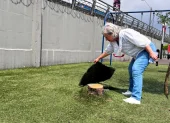 Tala de árboles en la ciudadela Entre Ríos