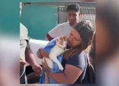 Rescatistas sostienen a Luli, la gata encontrada con vida tras permanecer 23 días bajo los escombros de un terremoto.