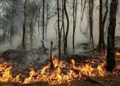 Fotografia referencial de los  incendios forestales  Las altas temperaturas y los vientos dificultan las labores de control de los incendios forestales.