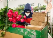 Las flores ecuatorianas se ubicarían por delante de Colombia, tras sobretasa arancelaria.