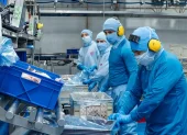La carne de cerdo consta entre los 10 alimentos con mayor peso en el gasto de los hogares ecuatorianos, según el INEC.