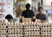 Estos huevos se enviaron a clientes de servicios de alimentos y comercios minoristas en Texas, Oklahoma, Luisiana, Arkansas, Nuevo México y Misisipi (foto referencial).