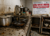 Referencial. Arcsa clausuró un local de fritada en Pomasqui tras detectar cucarachas, congeladores contaminados y graves deficiencias sanitarias que ponían en riesgo la salud pública.