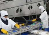 Santa Priscila es una de las mayores empresas camaroneras y exportadoras de camarón de Ecuador.