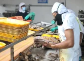 El sector atunero de Ecuador es de los más beneficiados con TLC con Canadá.
