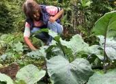 Productores locales trabajan en huertos agroecológicos de Galápagos, que abastecen parte del consumo interno.