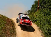 Vehículos del Campeonato Mundial de Rally (WRC) durante una prueba oficial de la temporada.