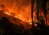 Bomberos de Quito controlaron el incendio forestal en Victoria de El Quinche, evitando que las llamas se propagaran hacia viviendas y vegetación cercana.
