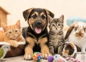 Ciudadanos podrán donar alimentos e insumos para apoyar a 20 fundaciones de rescate animal durante la Donatón 2026 en Quito.