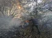 Itulcachi. Bomberos y ciudadanía controlaron el incendio forestal tras varias horas de trabajo y evitaron que las llamas se propagaran a otras áreas.