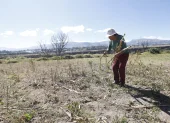 La sequía afecta cultivos de maíz, hortalizas y pastizales, reduciendo la producción y comprometiendo el sustento de familias de los valles.