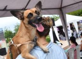 Los parques de la urbanización ofrecen áreas verdes seguras para que las mascotas corran y jueguen libremente.