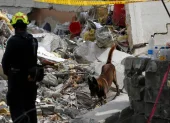 Un perro de rescate trabaja en una jornada de búsqueda en una zona afectada por el terremoto este 12 de agosto de 2026, en Cali (Colombia).