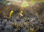 La vegetación seca y la baja humedad aumentan el riesgo de propagación del fuego en varias provincias del país. En Quito, en Pichincha, esta semana se han registrado varios incendios.