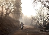Un hombre pasa cerca de coches quemados tras un incendio forestal cerca de la ciudad de Omis, Croacia, el 14 de agosto de 2026.