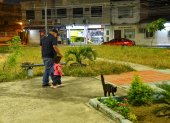La maleza crecida y el desgaste en los juegos infantiles dificultan el uso recreativo de parques en Pradera 1.