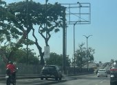 La Ordenanza que regula la publicidad exterior en Guayaquil incluye disposiciones para las estructuras que se utilizan para difundir anuncios.