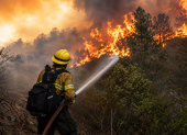 Bombero combate un incendio forestal mientras las llamas avanzan entre la vegetación.