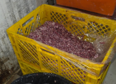 La inspección encontró residuos de sangre, carne y grasa en diferentes áreas del establecimiento.